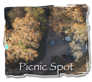 Picnic